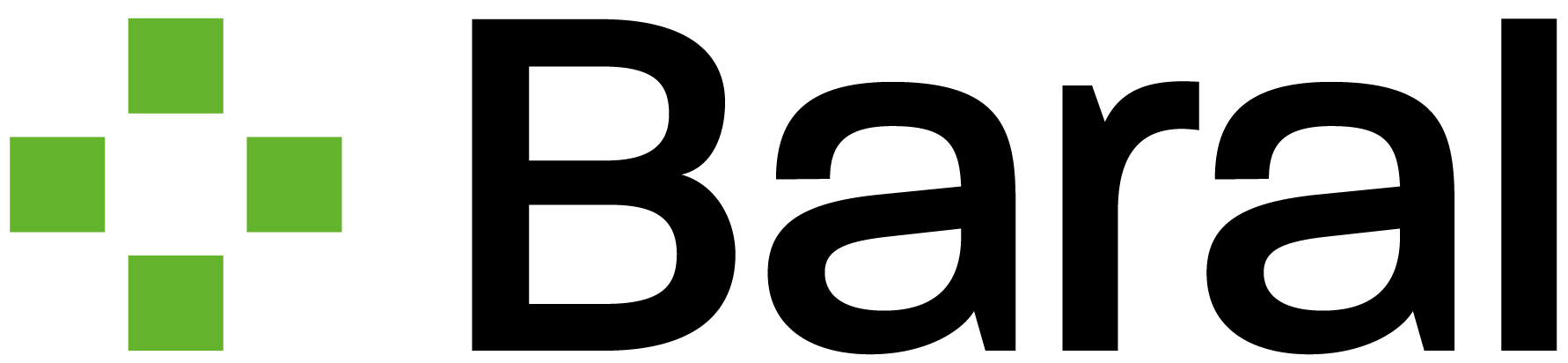 Baral Geohaus-Consulting AG