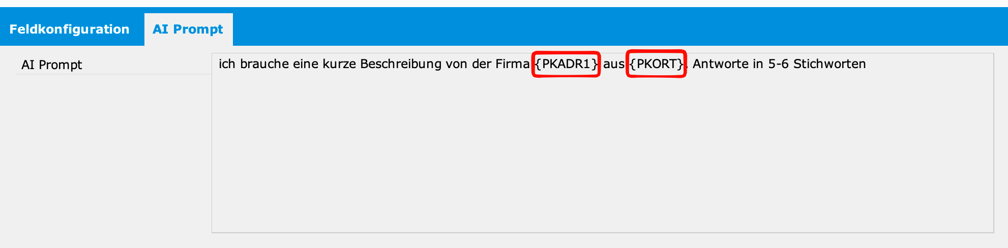 Prompt Konfiguration